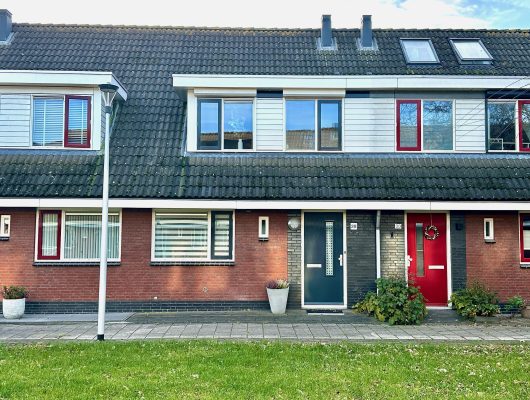 Hoofdfoto van Houten Blauwgras 28