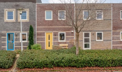 Hoofdfoto van Hoogeveen Citroenvlinder 97