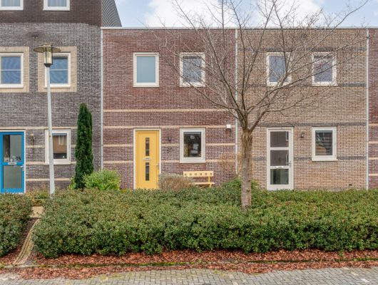 Hoofdfoto van Hoogeveen Citroenvlinder 97