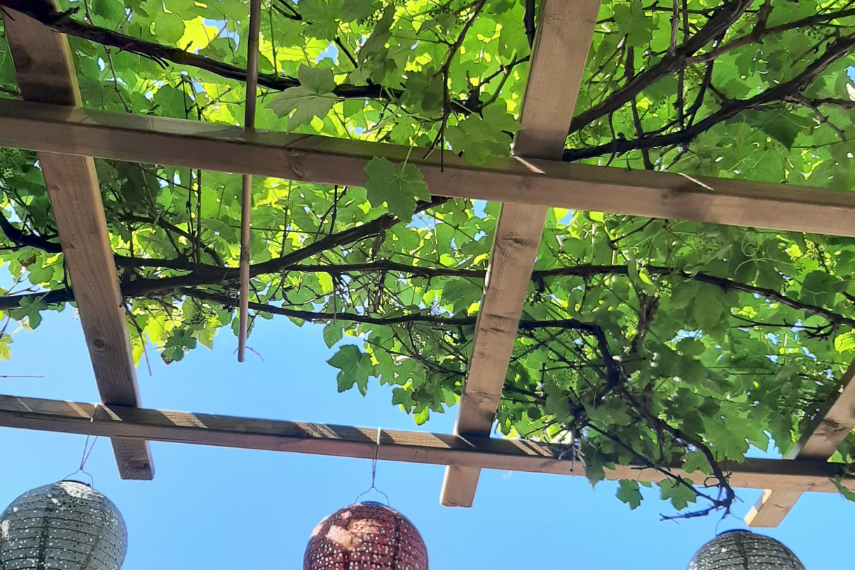 Te koop: Foto Woonhuis aan de Blankensteinweg 12 in Meppel