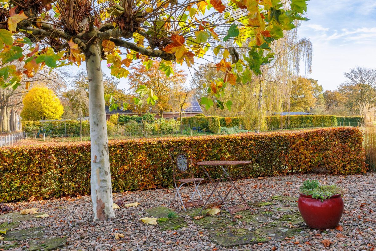 Te koop: Foto Woonhuis aan de Eikenlaan 6 in Langenboom