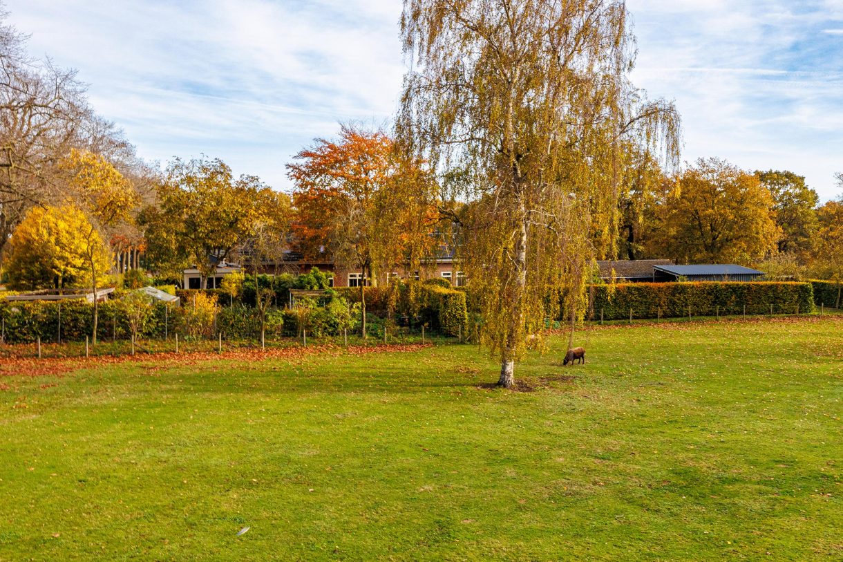 Te koop: Foto Woonhuis aan de Eikenlaan 6 in Langenboom