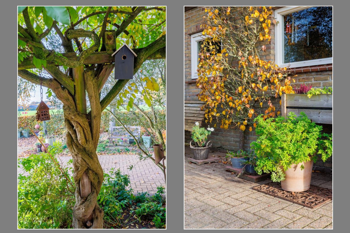 Te koop: Foto Woonhuis aan de Eikenlaan 6 in Langenboom