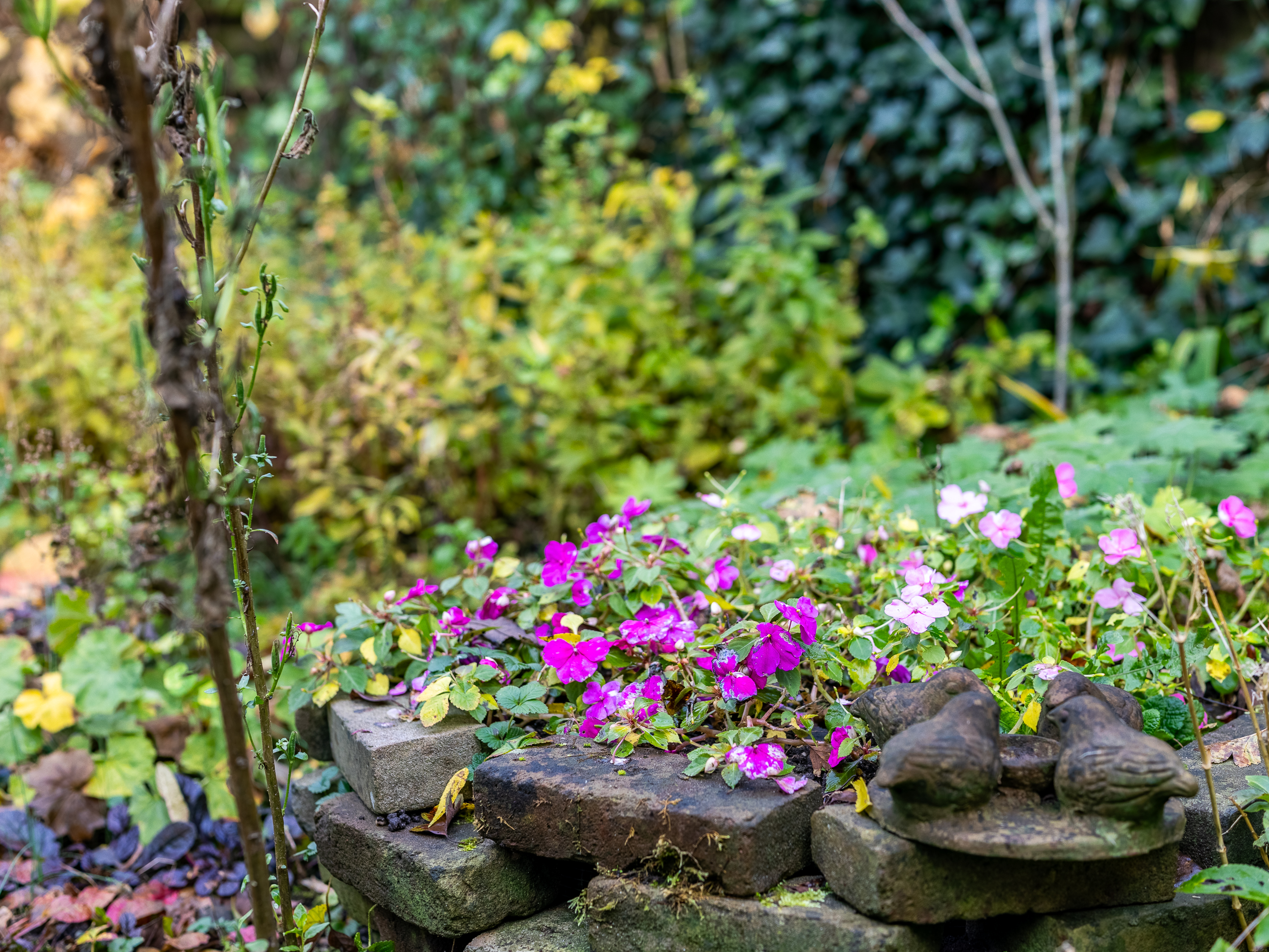 Te koop: Foto Woonhuis aan de Warnsveldseweg 31 in Zutphen