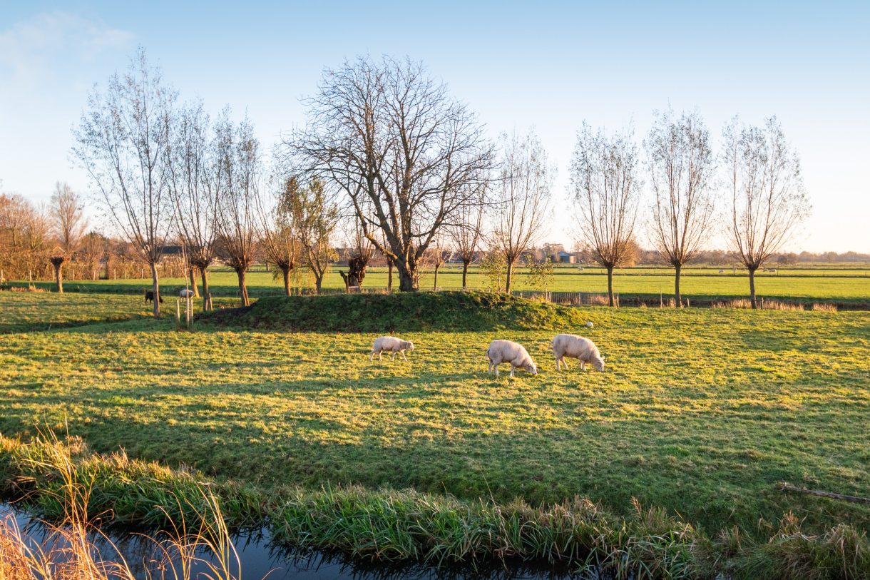 Te koop: Foto Woonhuis aan de Gruttostraat 1 in Kamerik