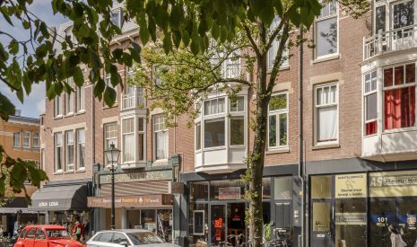 Te koop: Foto Appartement aan de Frederik Hendriklaan 105 in 's-Gravenhage