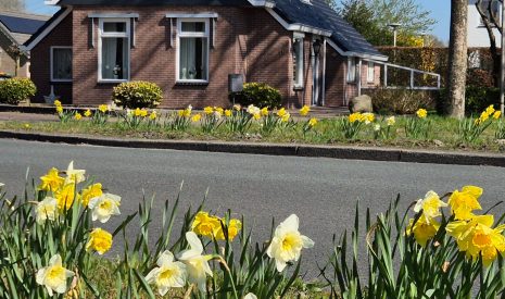 Te koop: Foto Woonhuis aan de Toldijk 15 in Hoogeveen