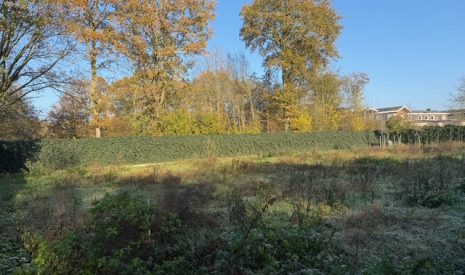 Te koop: Foto Bouwgrond aan de Droogsestraat ong in Malden
