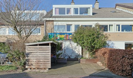 Hoofdfoto van Leiden Donsvlinder 50