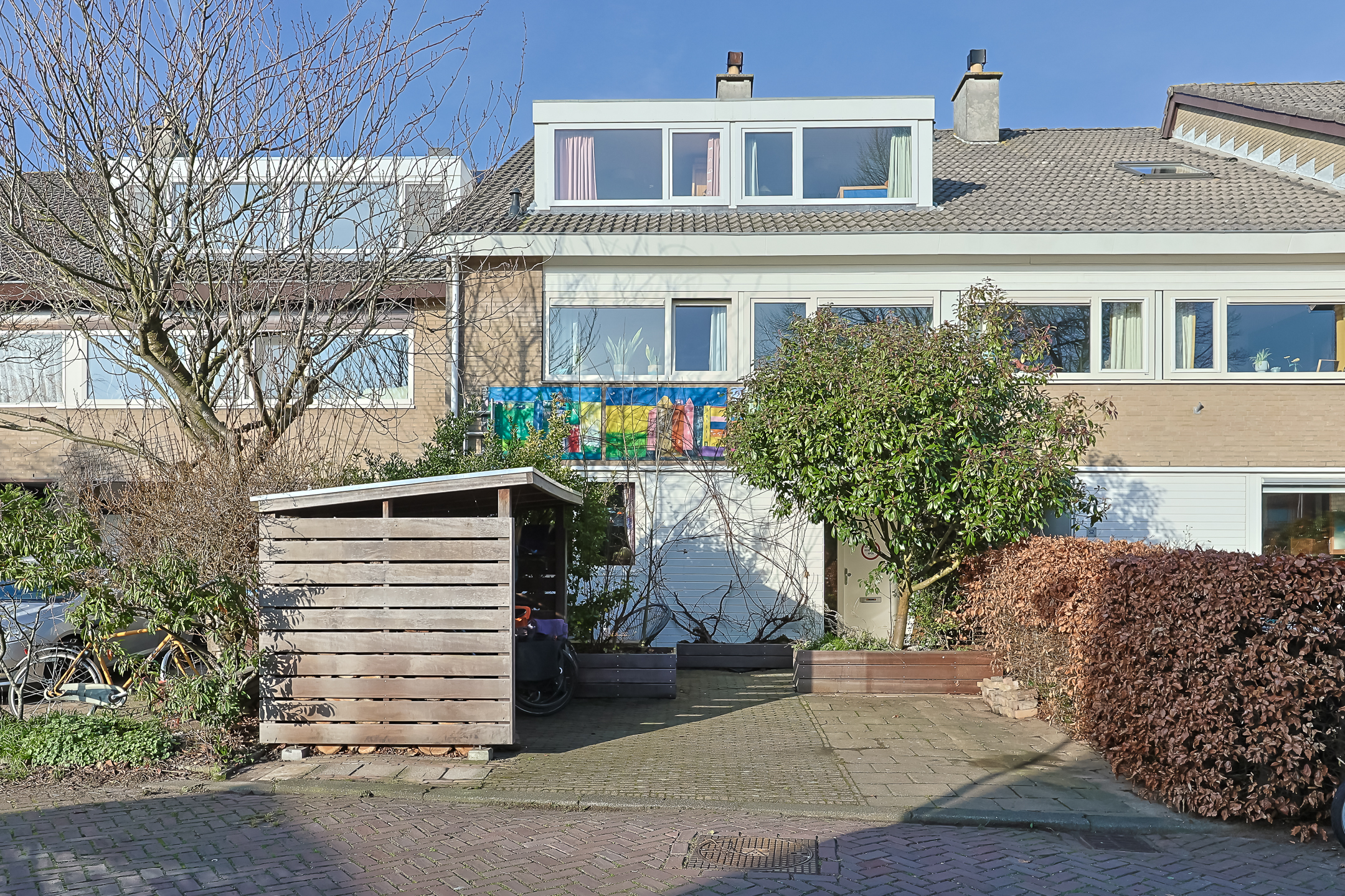 Hoofdfoto van Leiden Donsvlinder 50