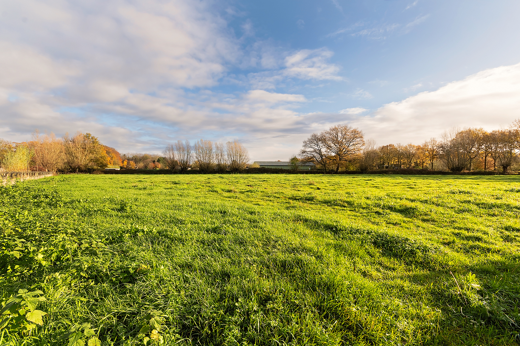 Te koop: Foto Woonhuis aan de Hazenpad 26 in Leur