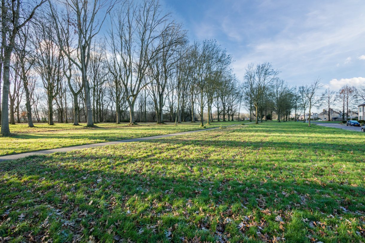 Te koop: Foto Woonhuis aan de Boekweitlaan 24 in Hoogeveen