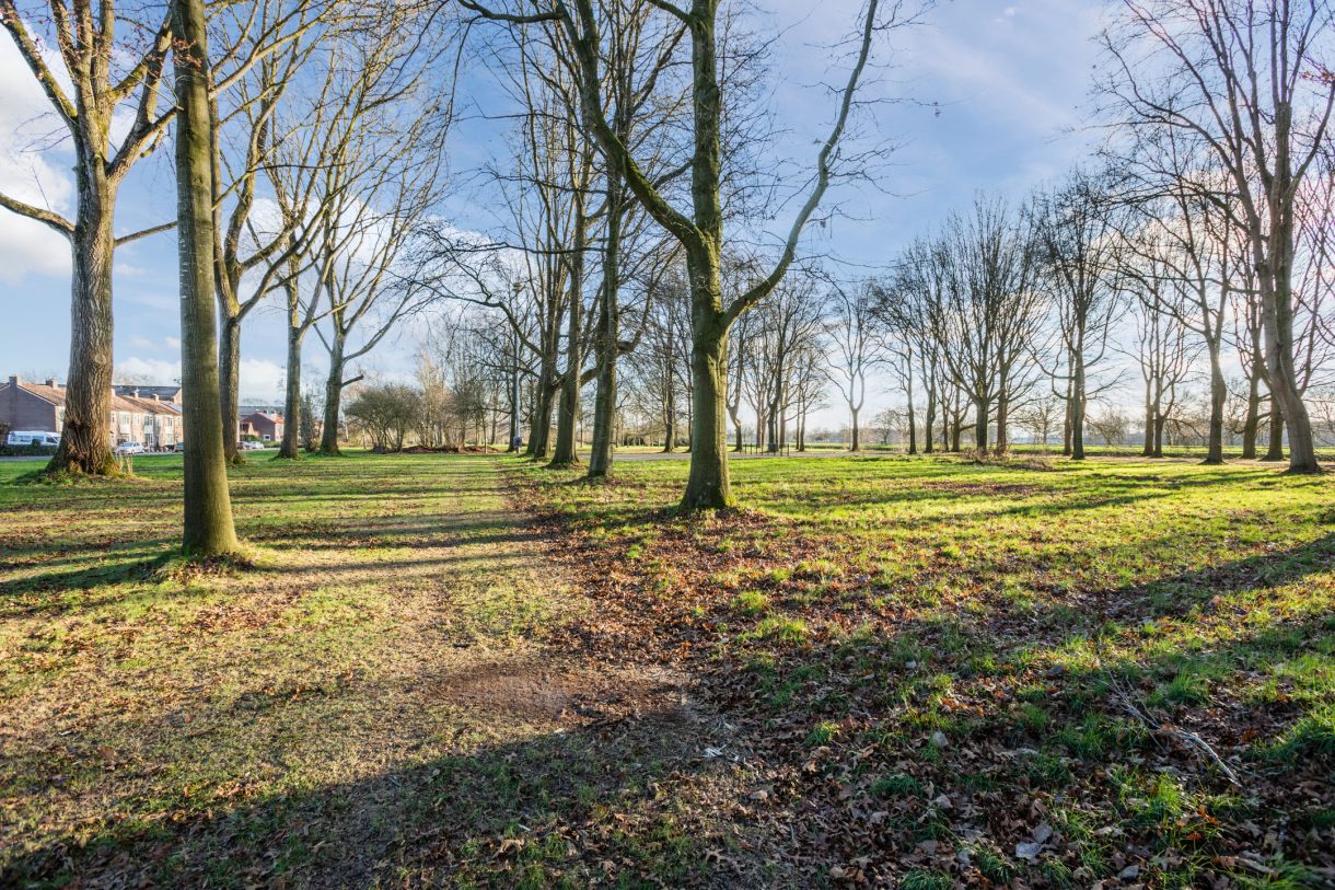 Te koop: Foto Woonhuis aan de Boekweitlaan 24 in Hoogeveen