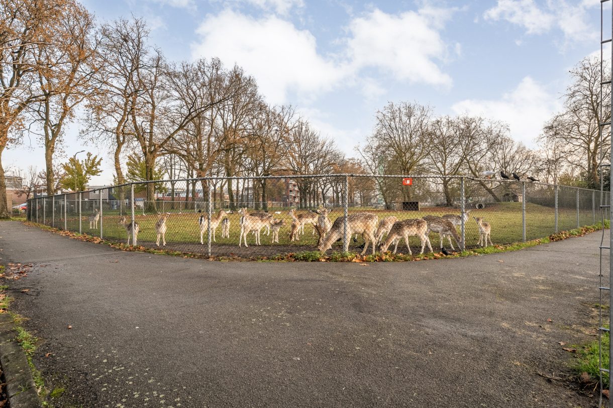 Te koop: Foto Appartement aan de Anemoonstraat 31 in Hoogeveen
