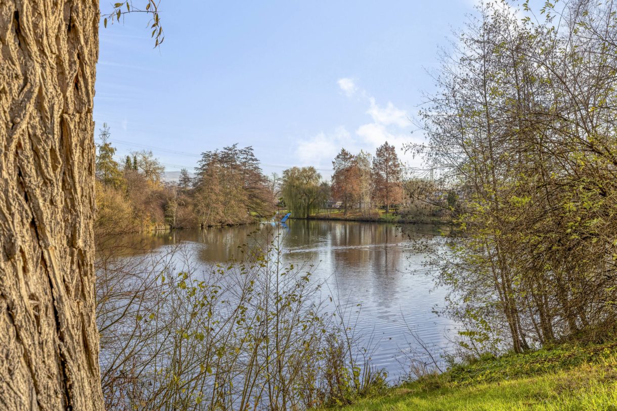 Te koop: Foto Appartement aan de Venuslaan 385 in Eindhoven