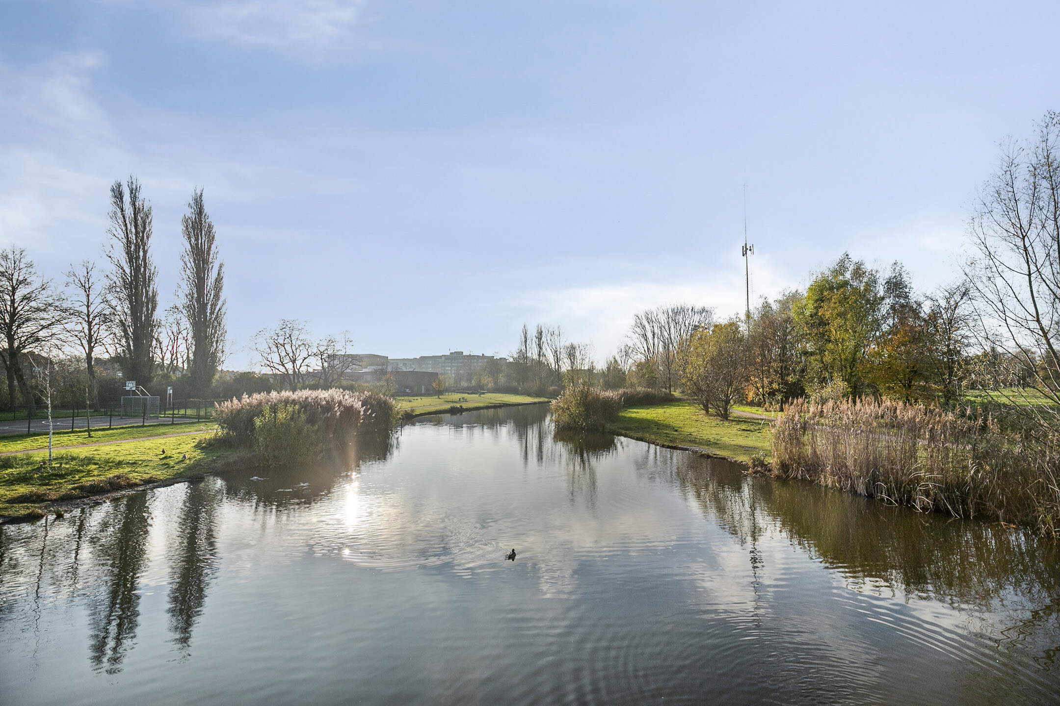 Te koop: Foto Woonhuis aan de Jan de Oudestraat 14 in Eindhoven
