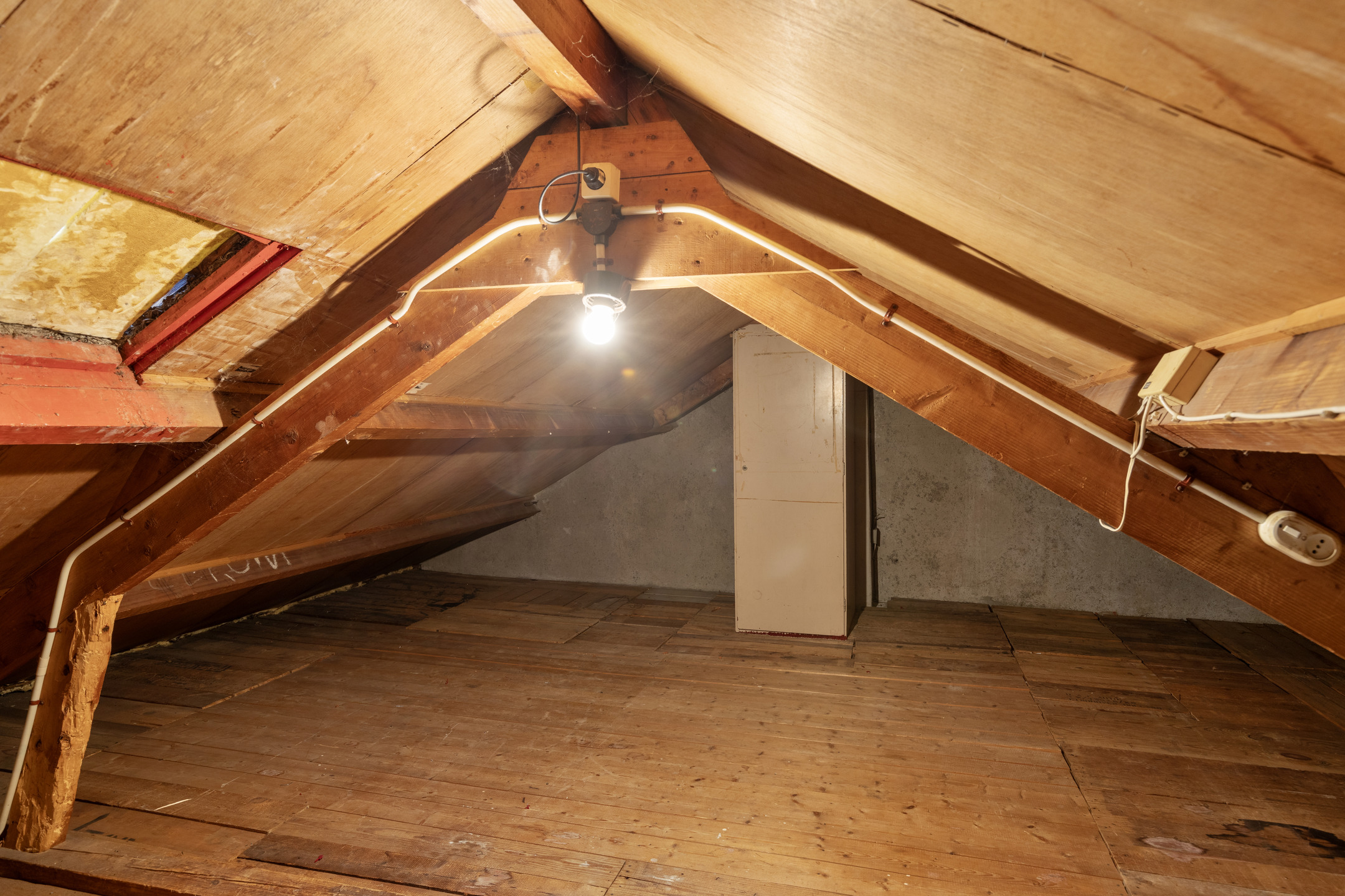 Te koop: Foto Woonhuis aan de Cornelis Bloemaertstraat 59 in Eindhoven