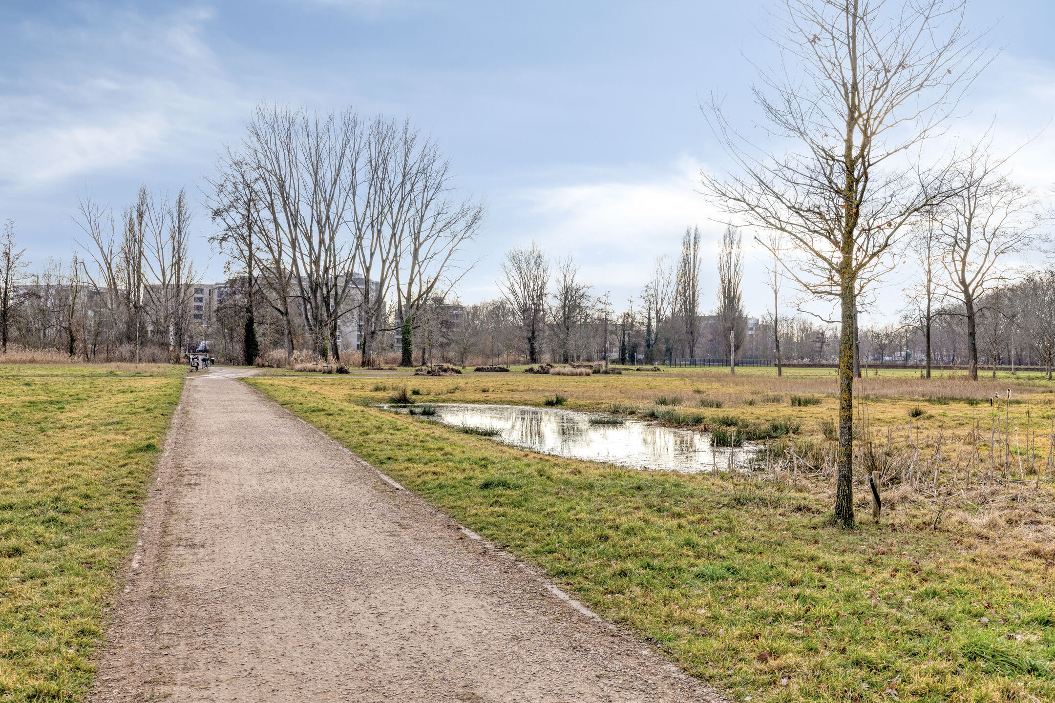 Te koop: Foto Appartement aan de Graaf Adolfstraat 112 in Eindhoven