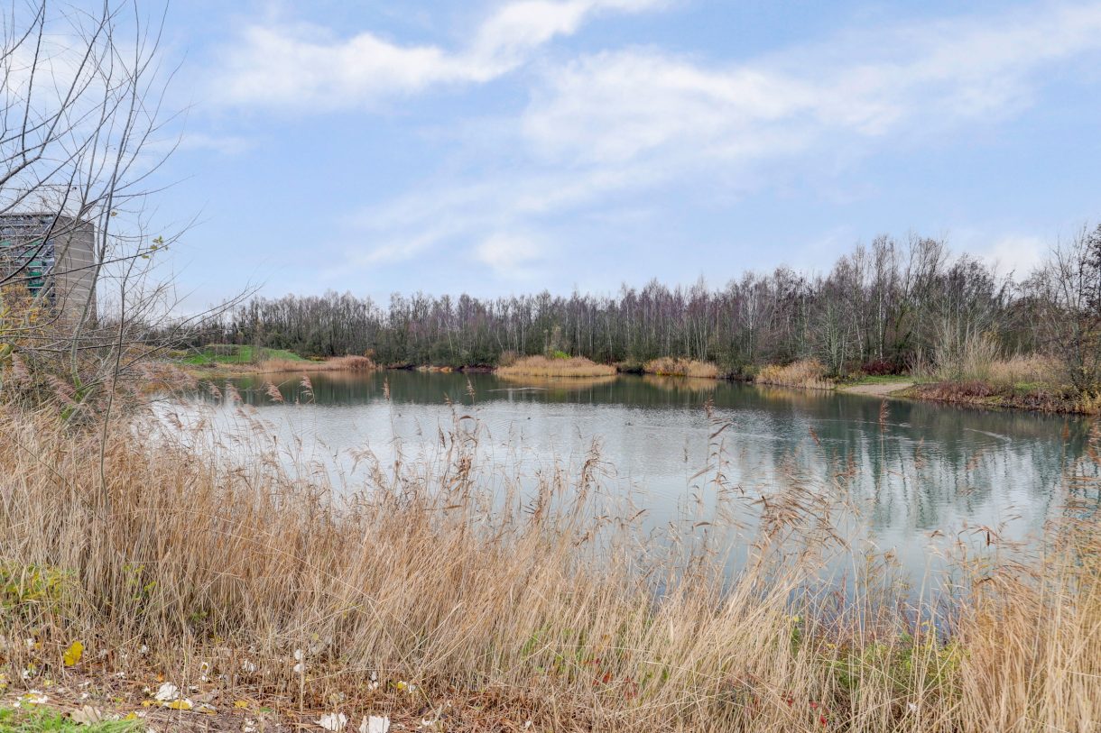 Te koop: Foto Woonhuis aan de Waterlelielaan 93 in Arnhem