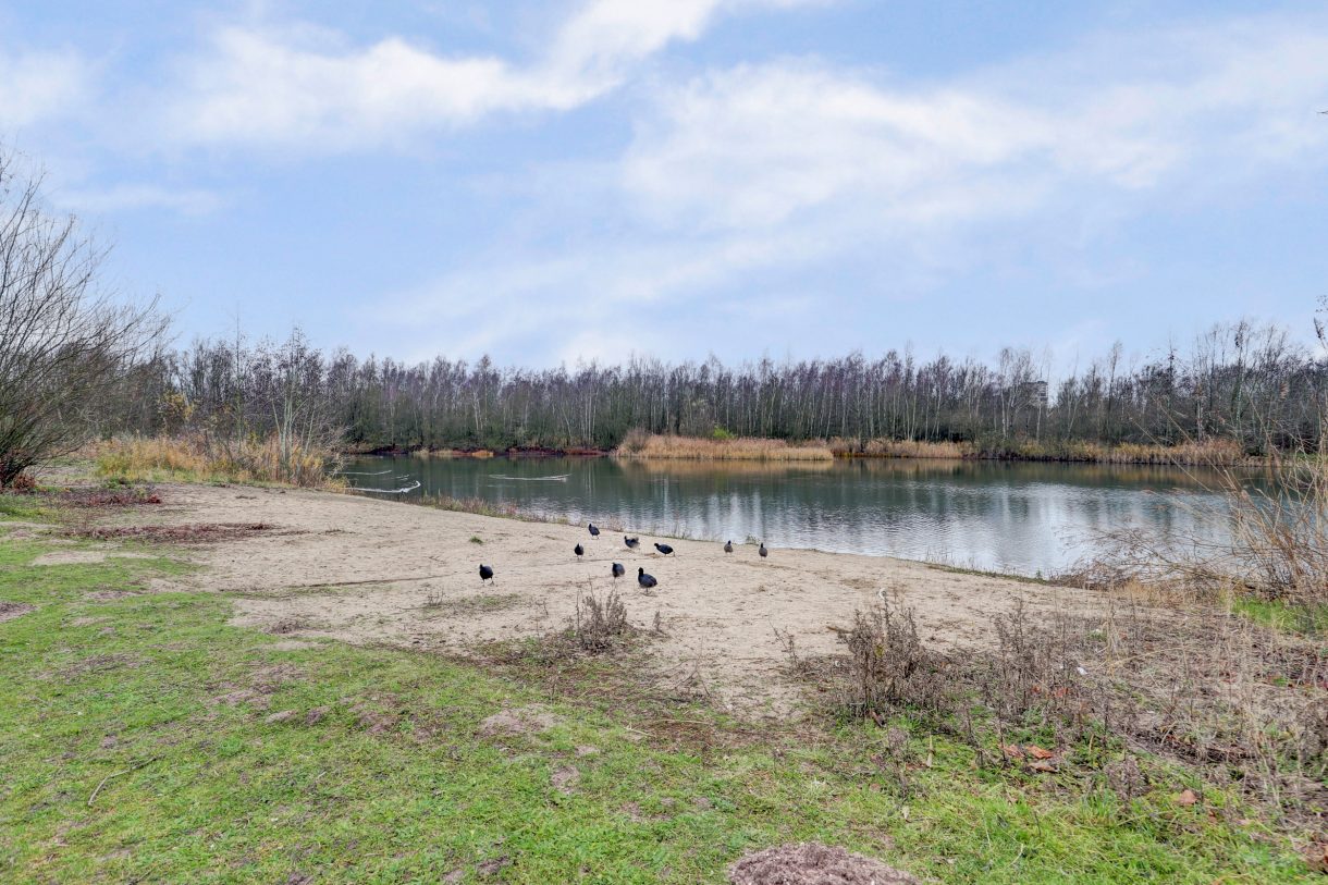 Te koop: Foto Woonhuis aan de Waterlelielaan 93 in Arnhem