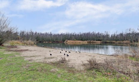 Te koop: Foto Woonhuis aan de Waterlelielaan 93 in Arnhem