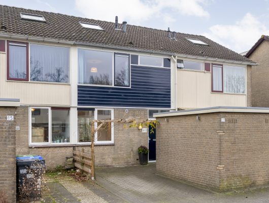 Hoofdfoto van Meppel Theo van Doesburgplantsoen 17