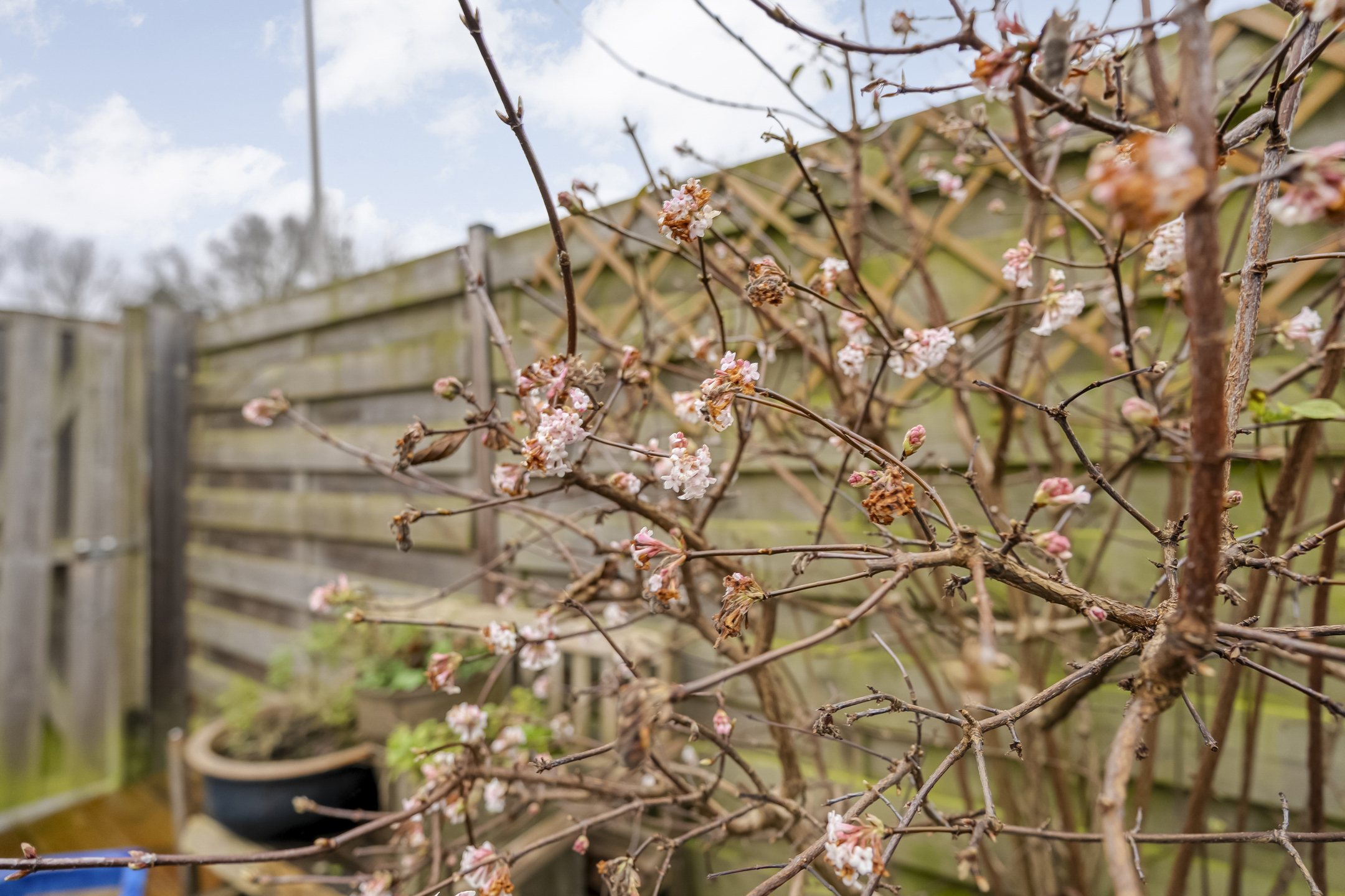 Te koop: Foto Woonhuis aan de Theo van Doesburgplantsoen 17 in Meppel