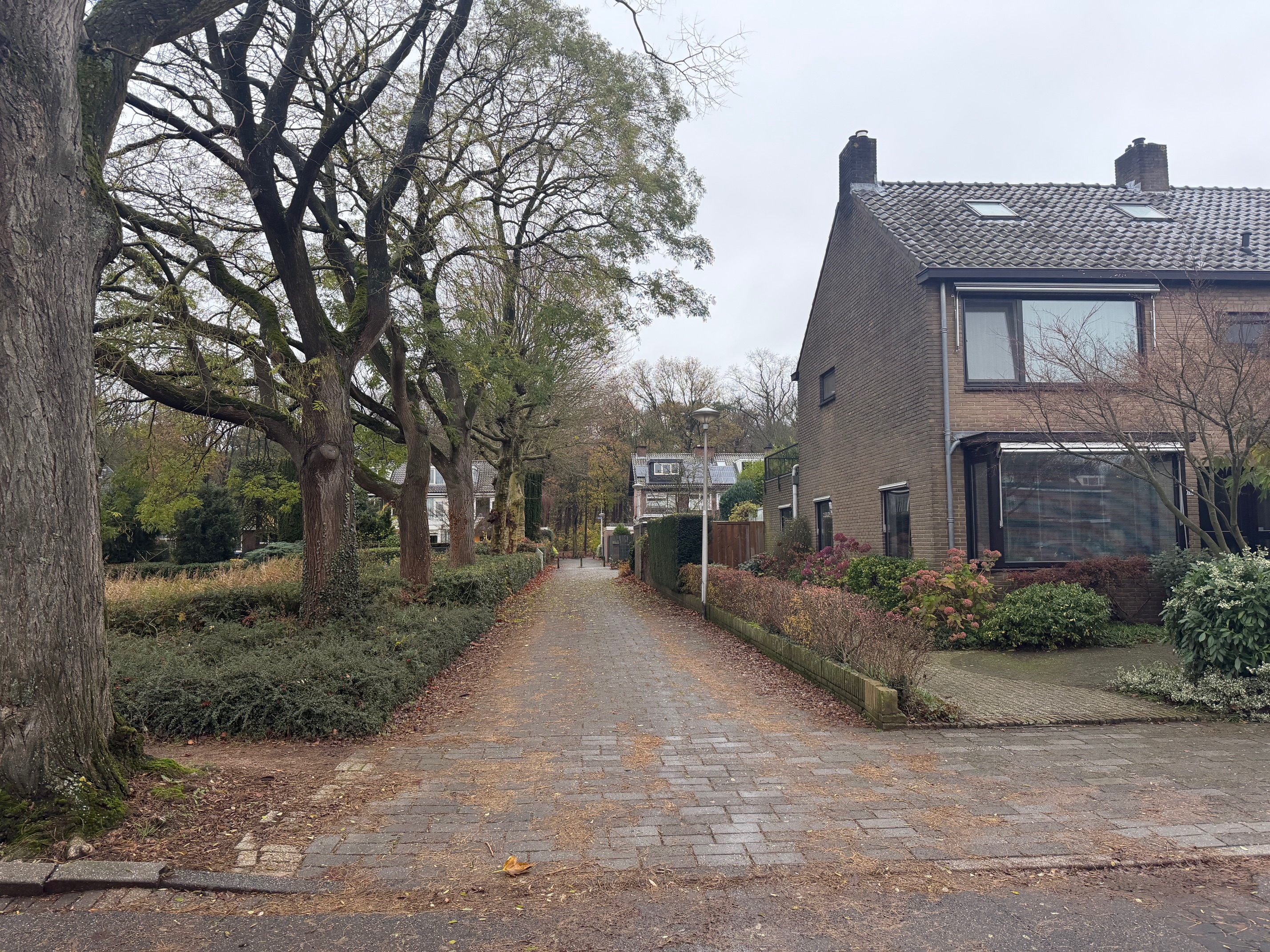 Te huur: Foto Overig OG aan de Schoutstraat 74 in Nijmegen