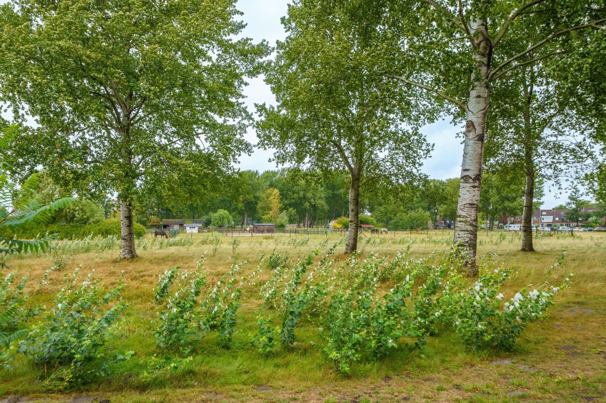 Te koop: Foto Appartement aan de Terpmeent 5 in Almere