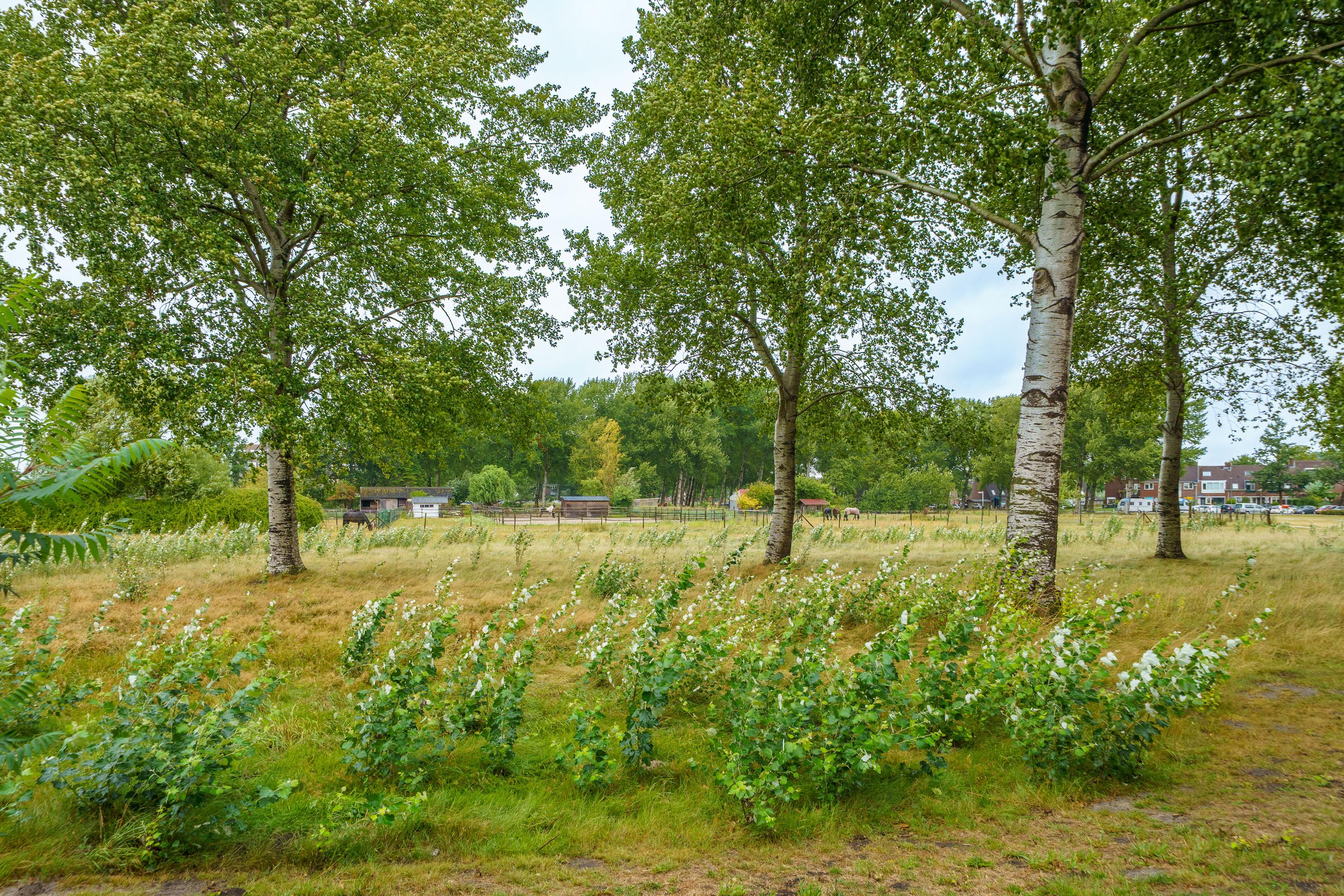 Te koop: Foto Appartement aan de Terpmeent 5 in Almere