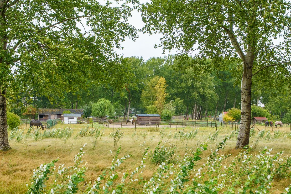 Te koop: Foto Appartement aan de Terpmeent 5 in Almere