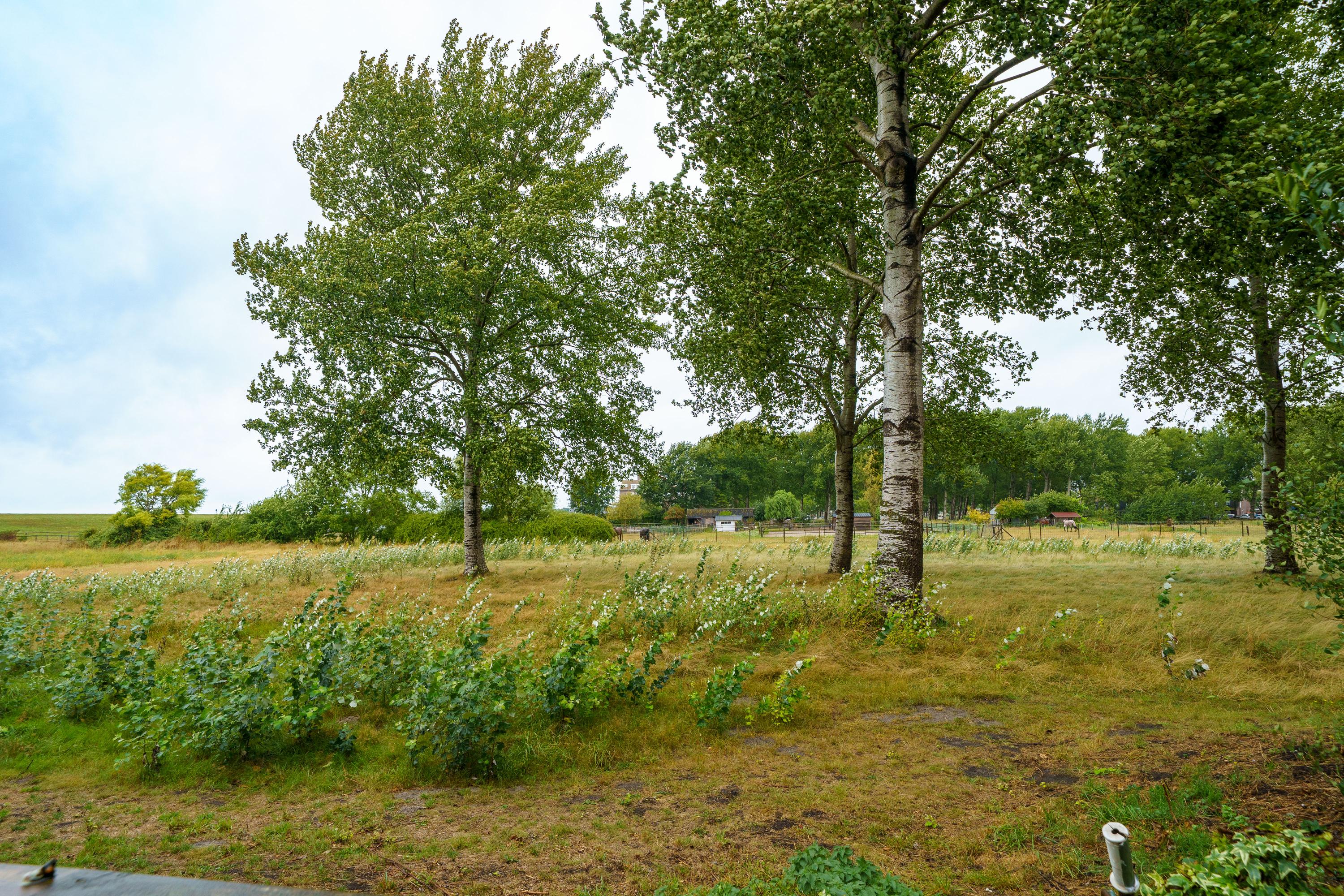 Te koop: Foto Appartement aan de Terpmeent 5 in Almere