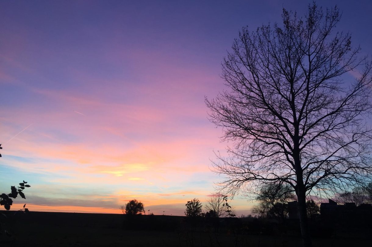 Te koop: Foto Appartement aan de Terpmeent 5 in Almere