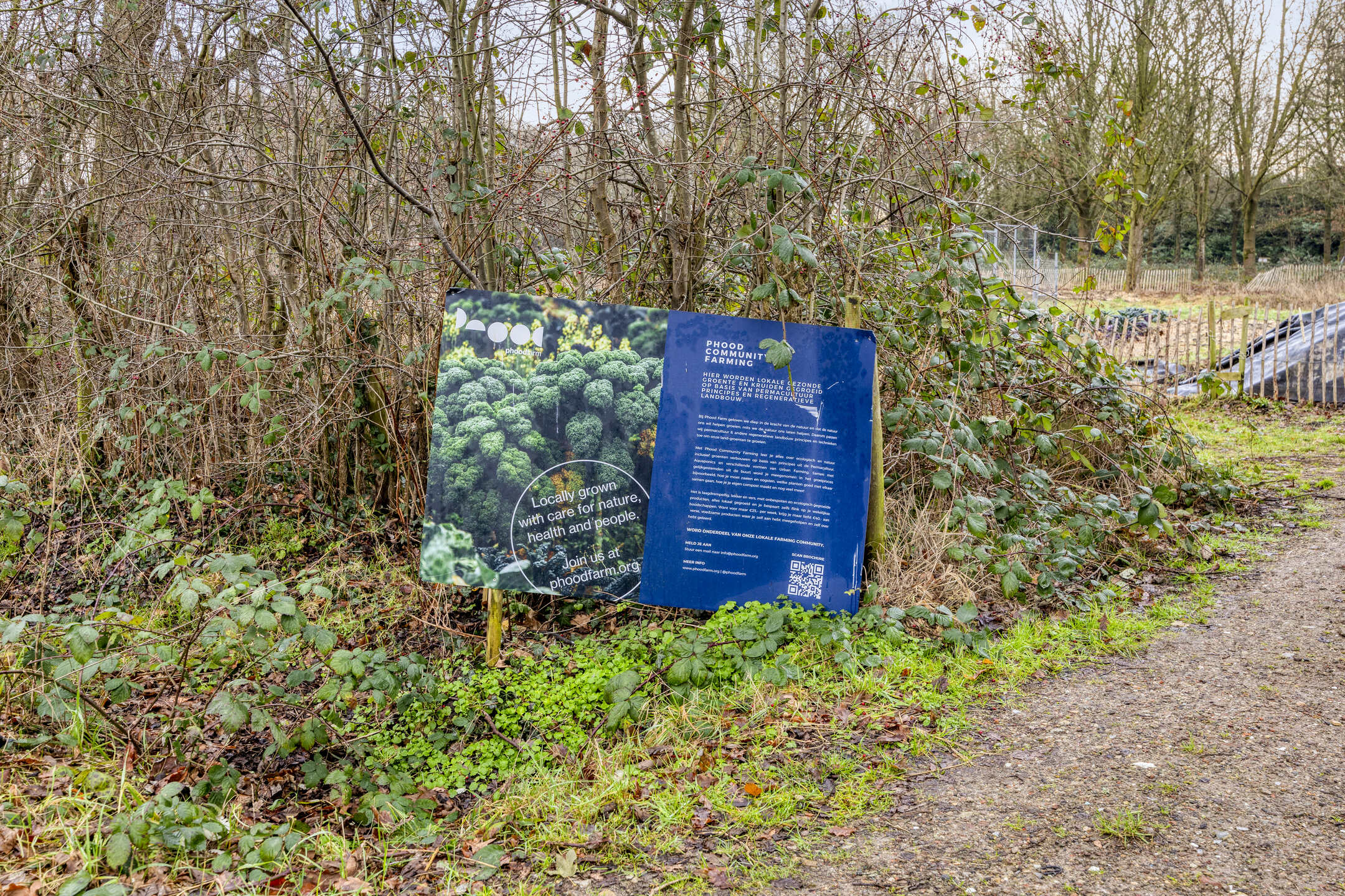 Te koop: Foto Woonhuis aan de Rik Woutersweg 17 in Eindhoven