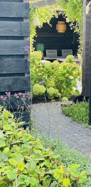 Te koop: Foto Woonhuis aan de Westergrift 58 in Meppel