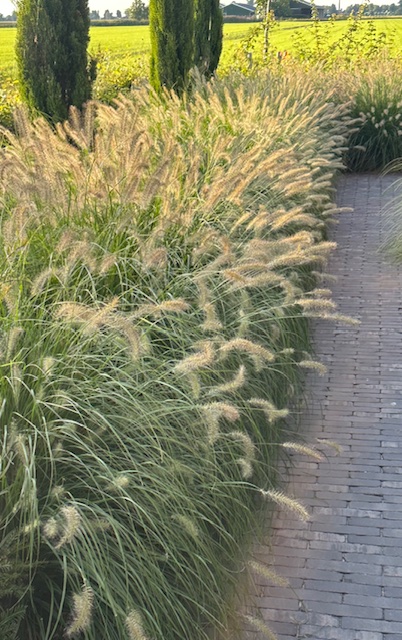 Te koop: Foto Woonhuis aan de Westergrift 58 in Meppel