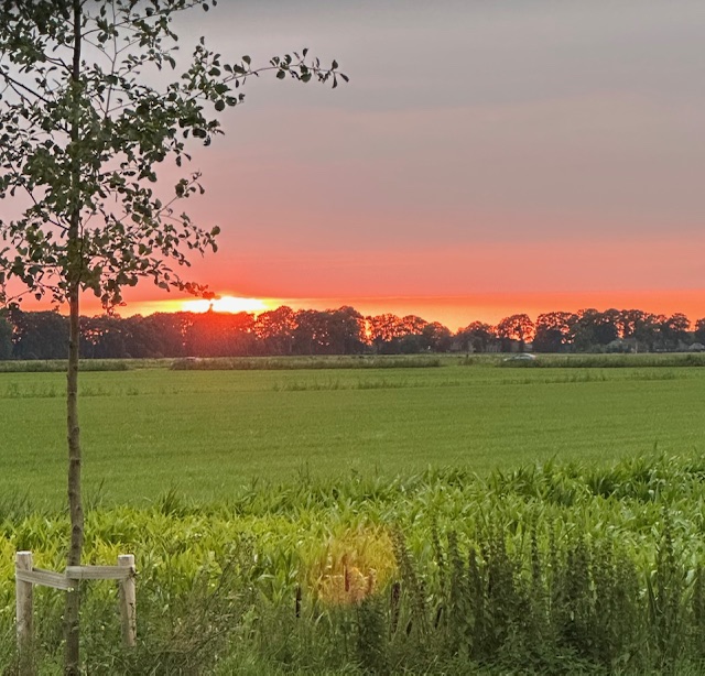Te koop: Foto Woonhuis aan de Westergrift 58 in Meppel