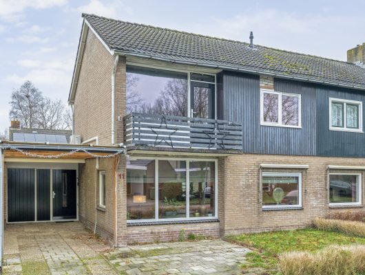 Hoofdfoto van Borger Torenes 11