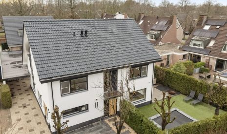 Hoofdfoto van Breukelen Winterakoniet 9