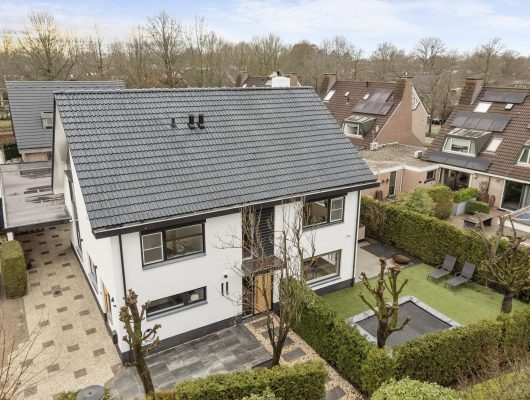 Hoofdfoto van Breukelen Winterakoniet 9