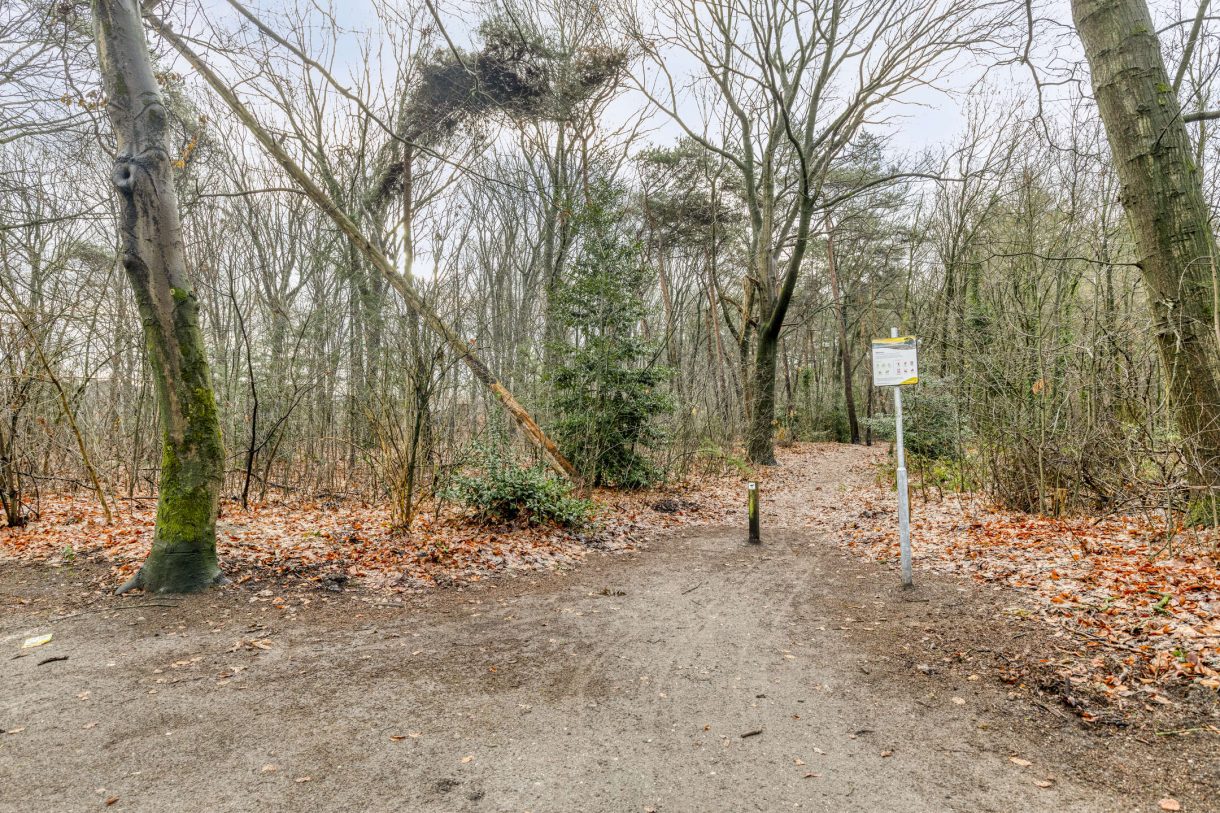 Te koop: Foto Woonhuis aan de Boekweitstraat 50 in Odiliapeel