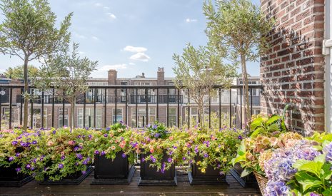 Te koop: Foto Appartement aan de Statenlaan 134B in 's-Gravenhage