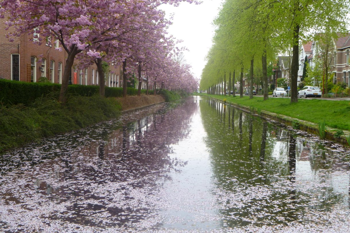 Te koop: Foto Woonhuis aan de Emmakade 1 in Bodegraven