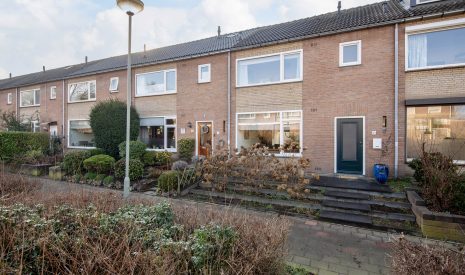 Hoofdfoto van Molenhoek Iepenhof 10