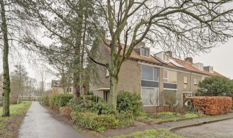 Hoofdfoto van Breda Jacob Catssingel 46