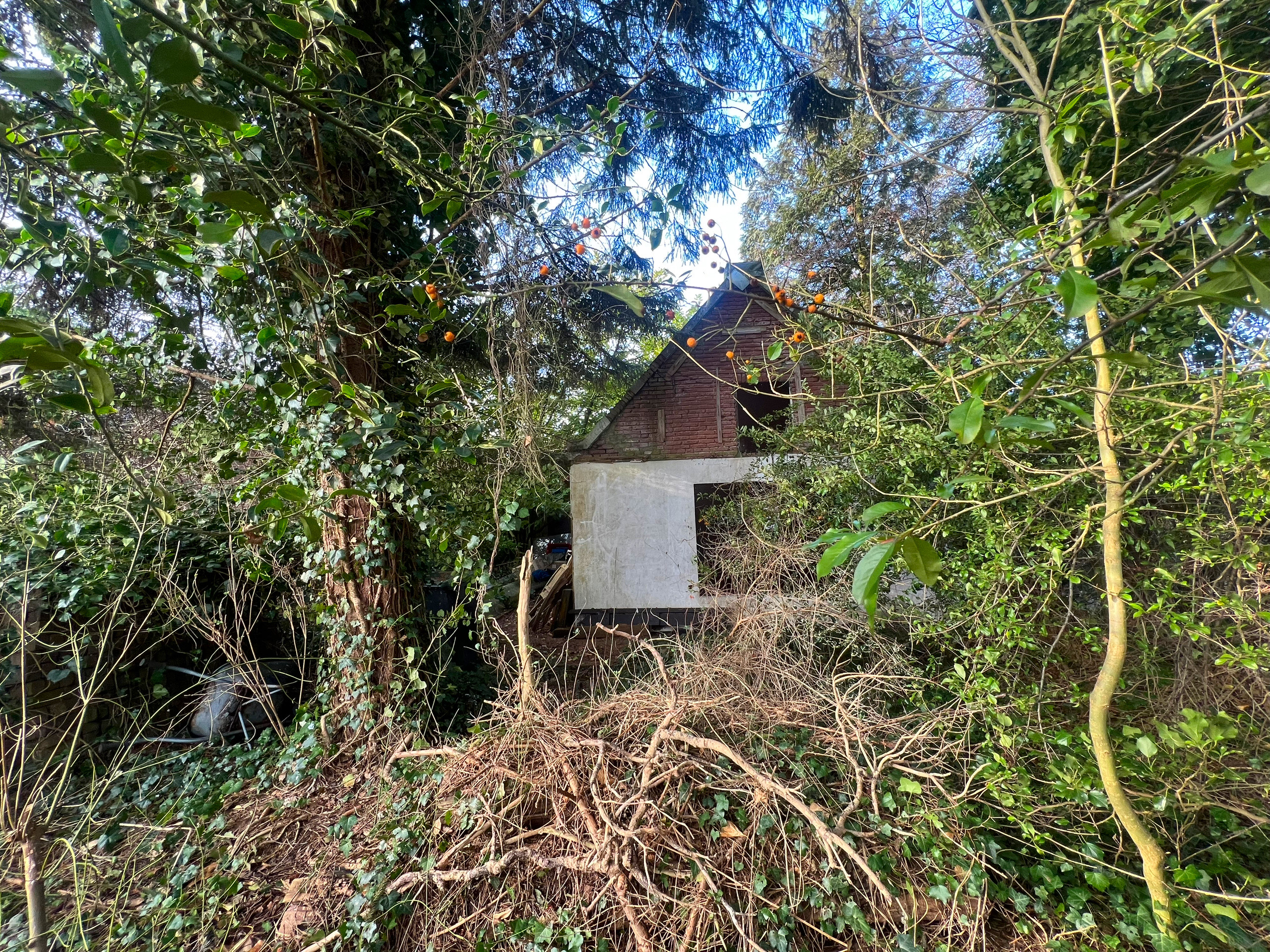 Hoofdfoto van Nieuwegein Wiersdijk 1